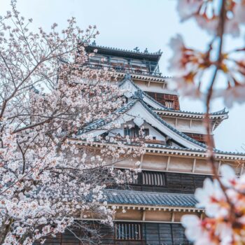 13 jours pour découvrir le Japon