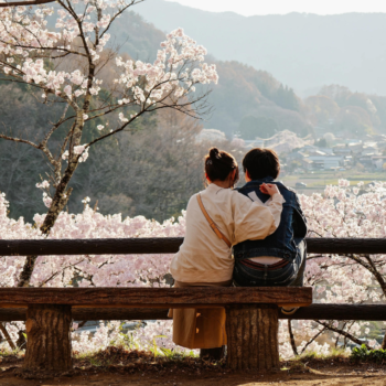 Couple sous les cerisier