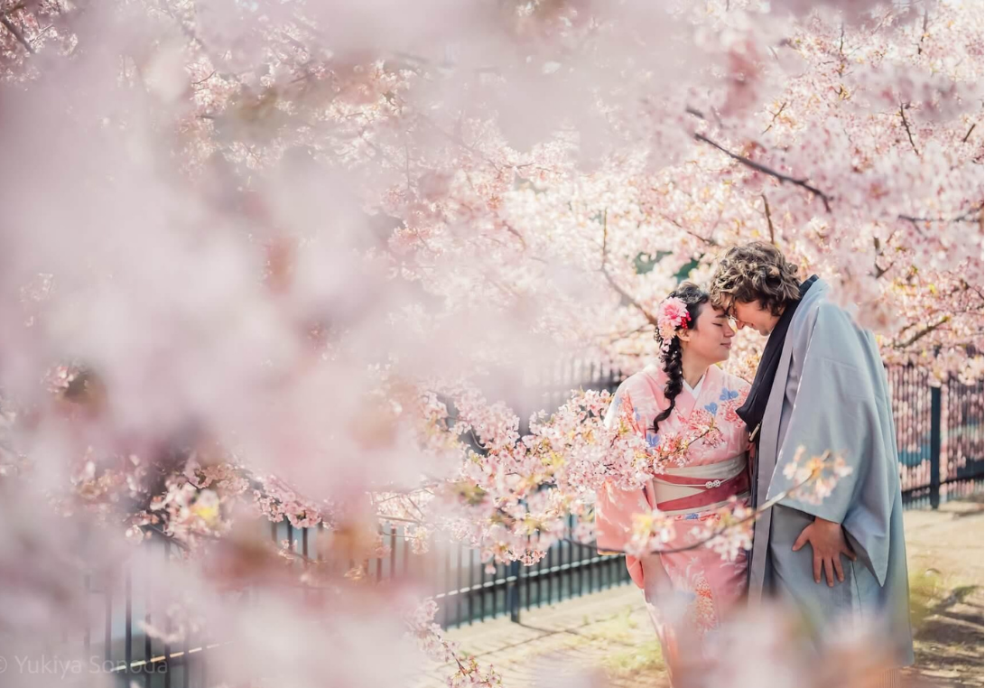Couple découvrant les cerisiers en fleurs au Japon