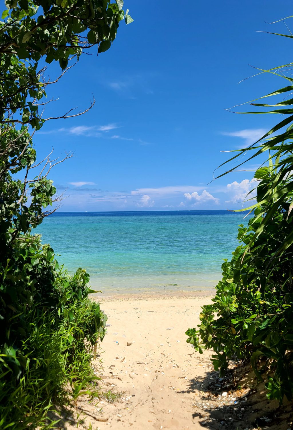 Découverte de plages cachées à Ishigaki