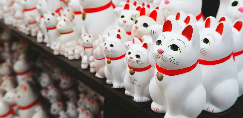 susann-schuster-RpuqBx9o6DY-unsplash