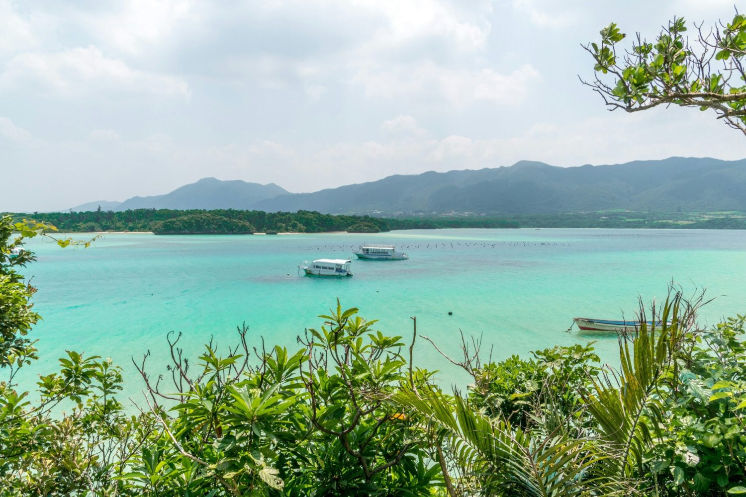 Superbe vue d'une des plages iconiques à Taketomi