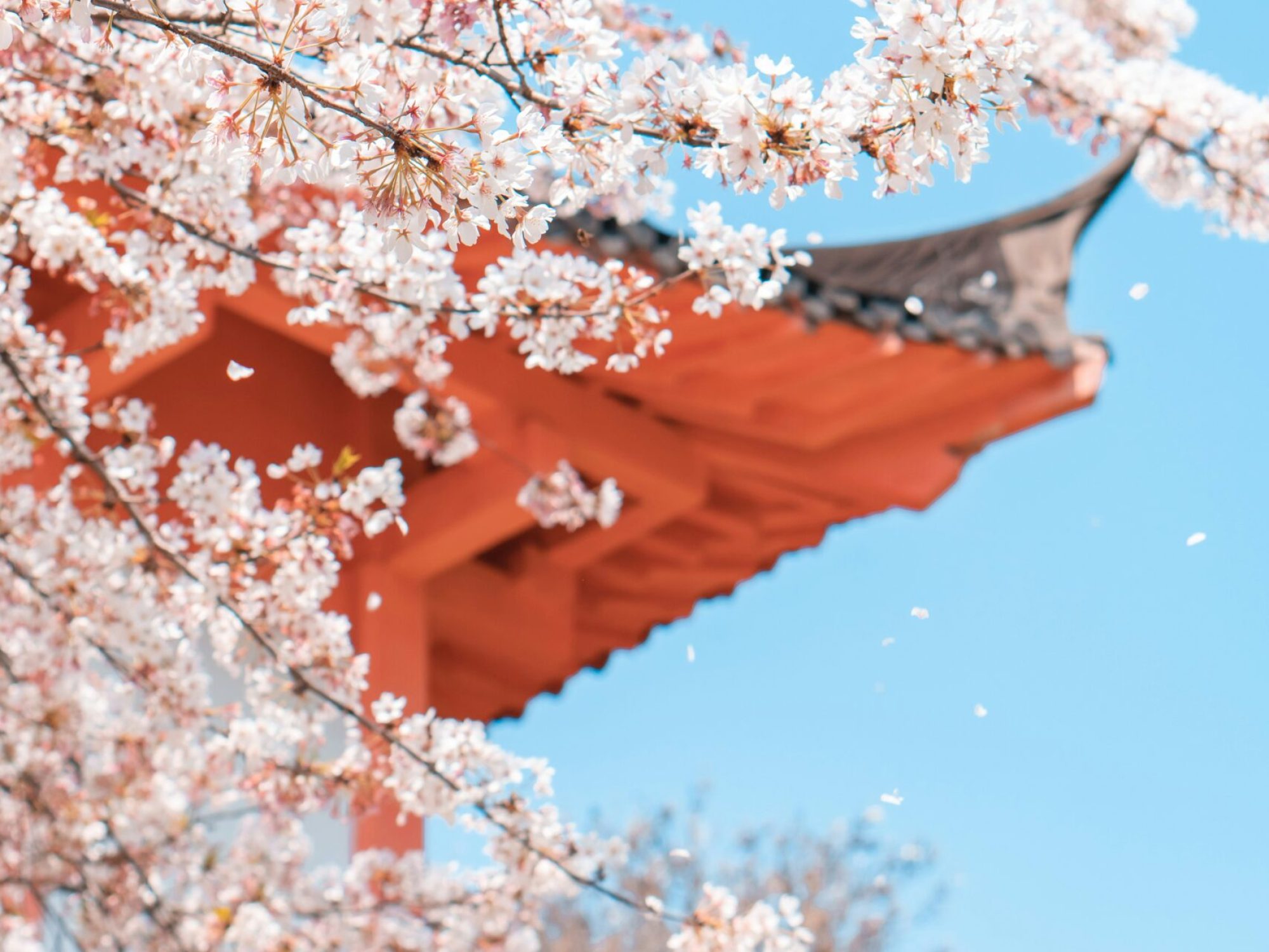 xianyu-hao-Ml8WeLdCnRU-unsplash